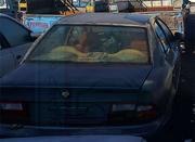 حراج دولتی سمند