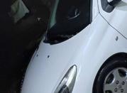 207 پاناروما فول کروز اسفند 1400 بیرنگ